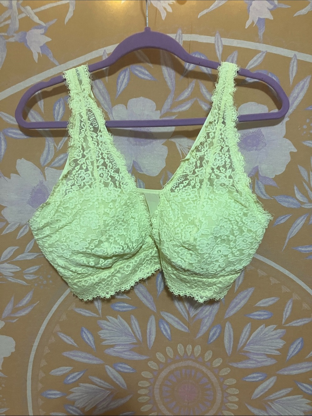 Aerie lace bra